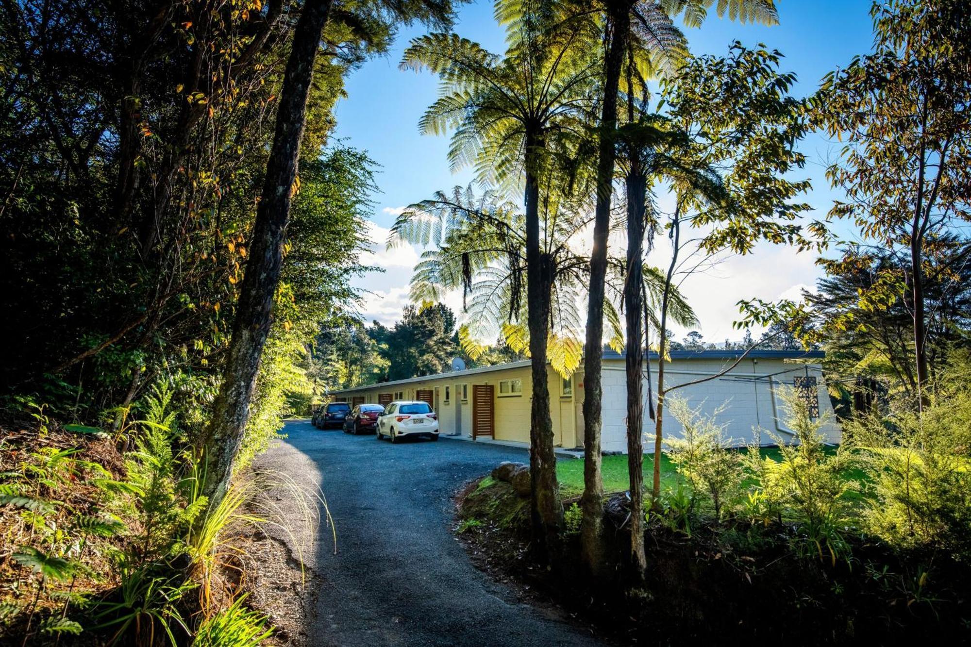 Sapphire Springs Holiday Park And Thermal Pools Katikati Exteriör bild